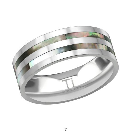 Titanium Dobbeltlinje Ring Med Abalone Shell - Titaniumsringe Titanium 